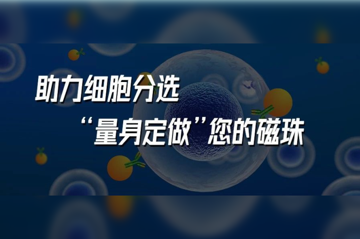 助力细胞分选，“量身定做”您的磁珠