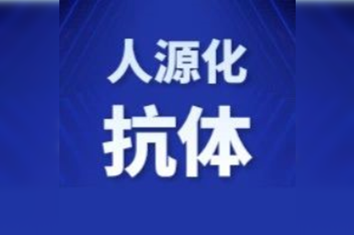 人源化抗体的改造方式及其优势