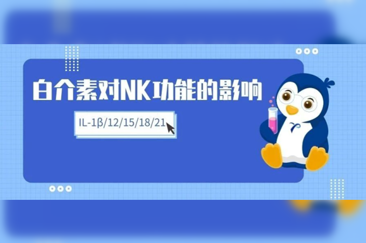 白介素对NK细胞功能的影响（IL-1β、IL-12、IL-15...）