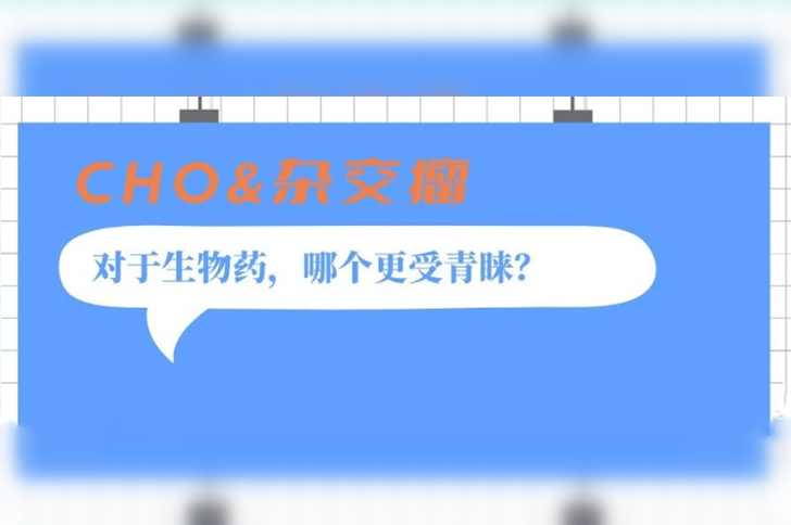 【知识点】CHO细胞和杂交瘤细胞表达工艺对比