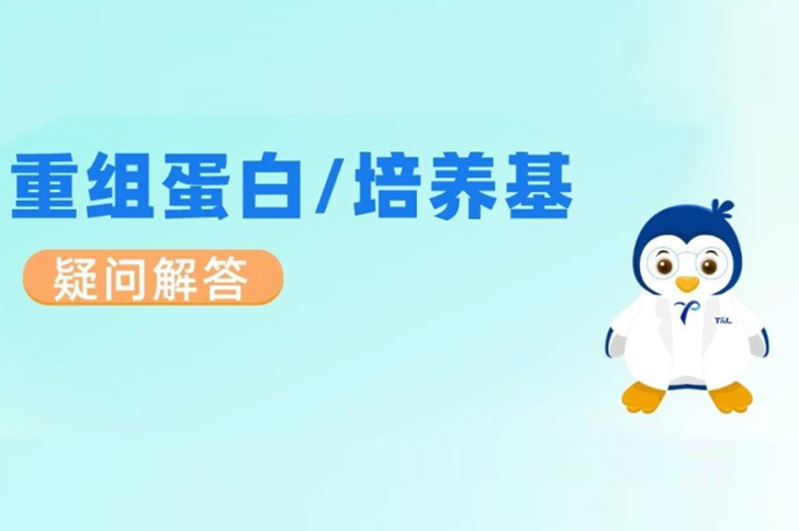 你关注的蛋白/培养基疑问解答来了