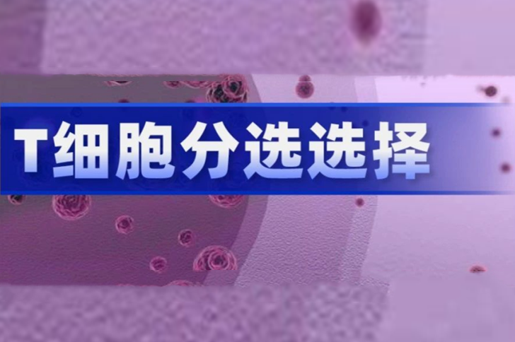 T细胞分离阴选、阳选区别有多大？
