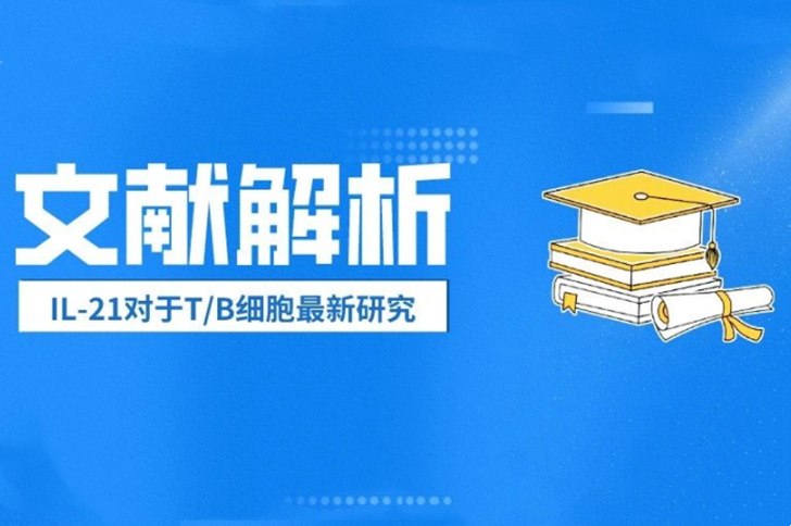 【文献解析】IL-21对于T/B细胞激发最新研究