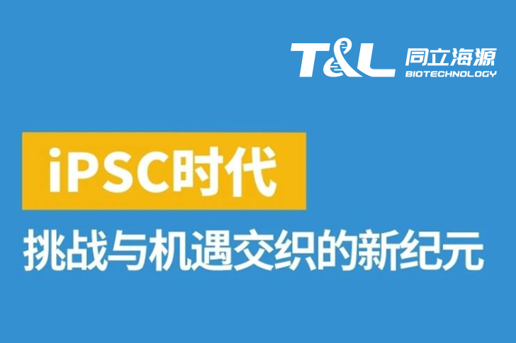 iPSC：挑战与机遇交织的新纪元