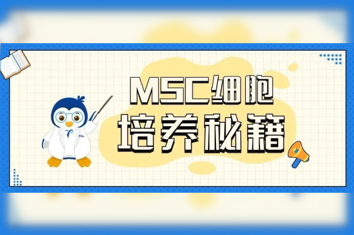 干货 | MSC细胞培养 “秘籍”