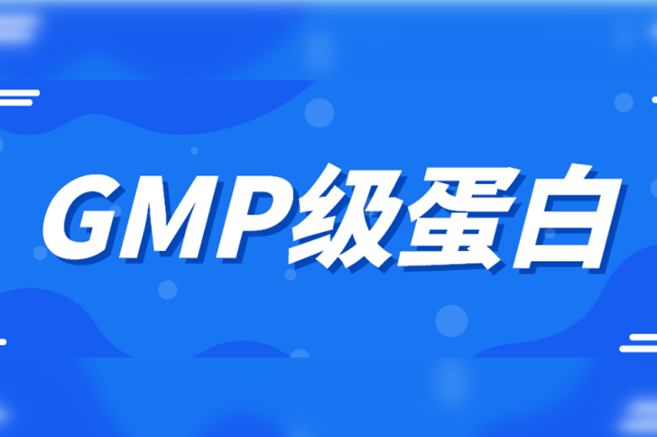 颇具潜力的多效抗肿瘤细胞因子IL-15