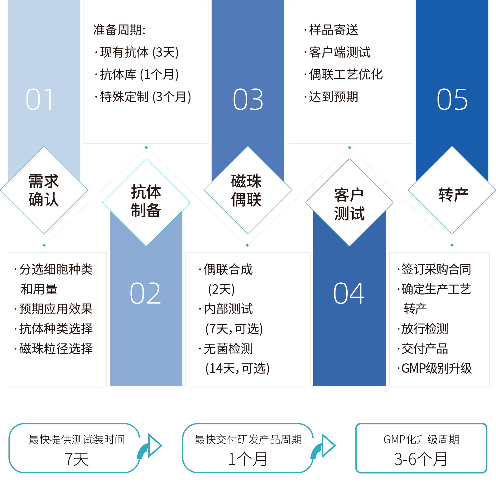 W88优德官网细胞分选激活磁珠/分选磁珠定制，定制流程