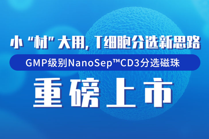 GMP级别CD3分选磁珠重磅上市！