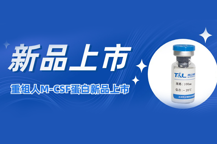 M-CSF | 让您的巨噬细胞更强大！