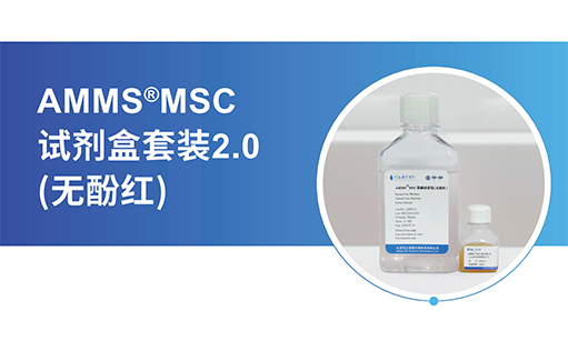 hUMSCs是个“宝”，扩增宝库全靠-AMMS®MSC无血清培养试剂盒