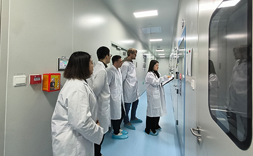 W88优德官网顺利通过欧洲客户审计，加速国际化布局