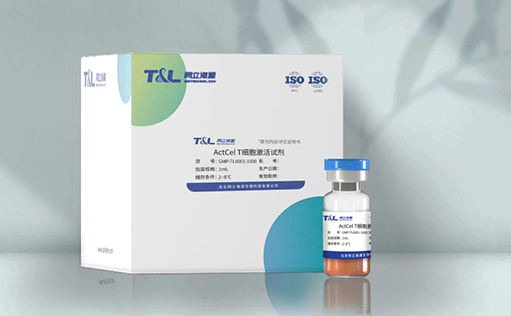 特别推荐—GMP级别ActCel T细胞激活试剂重磅上市！