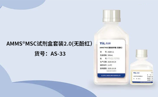 人间充质干细胞培养：挑战与应对之策