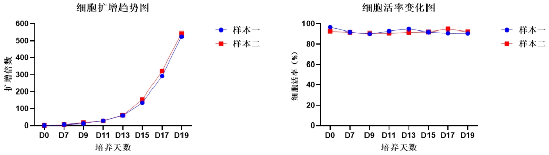W88优德官网,NK试剂盒套装3.0,脐血NK细胞培养,NK细胞培养