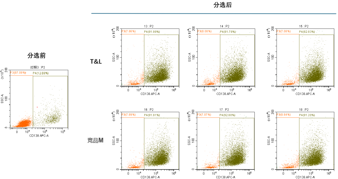 W88优德官网新品上市-MaxSortin™CD138分选磁珠