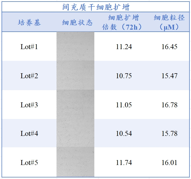 W88优德官网生物MSC无血清培养工艺定制化服务