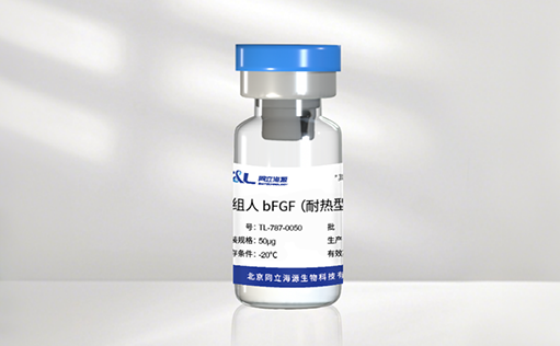 高温环境下的修复王者! W88优德官网新一代耐热型 bFGF 蛋白正式发布