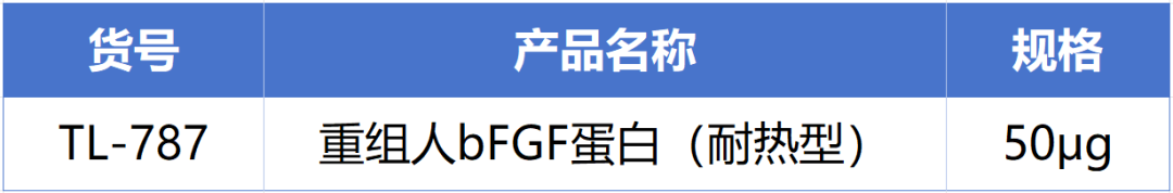 W88优德官网新一代耐热型重组人bFGF蛋白正式发布！高温环境下的修复王者! 